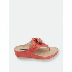 GC SHOES Shop -GC SHOES Shop unnamed file 602